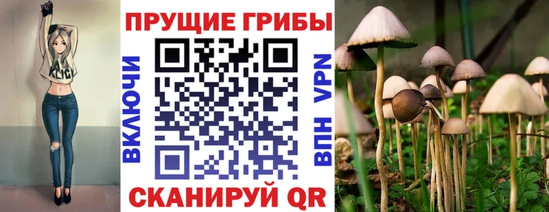 Псилоцибиновые грибы Magic Shrooms  Купить где  Олонец 